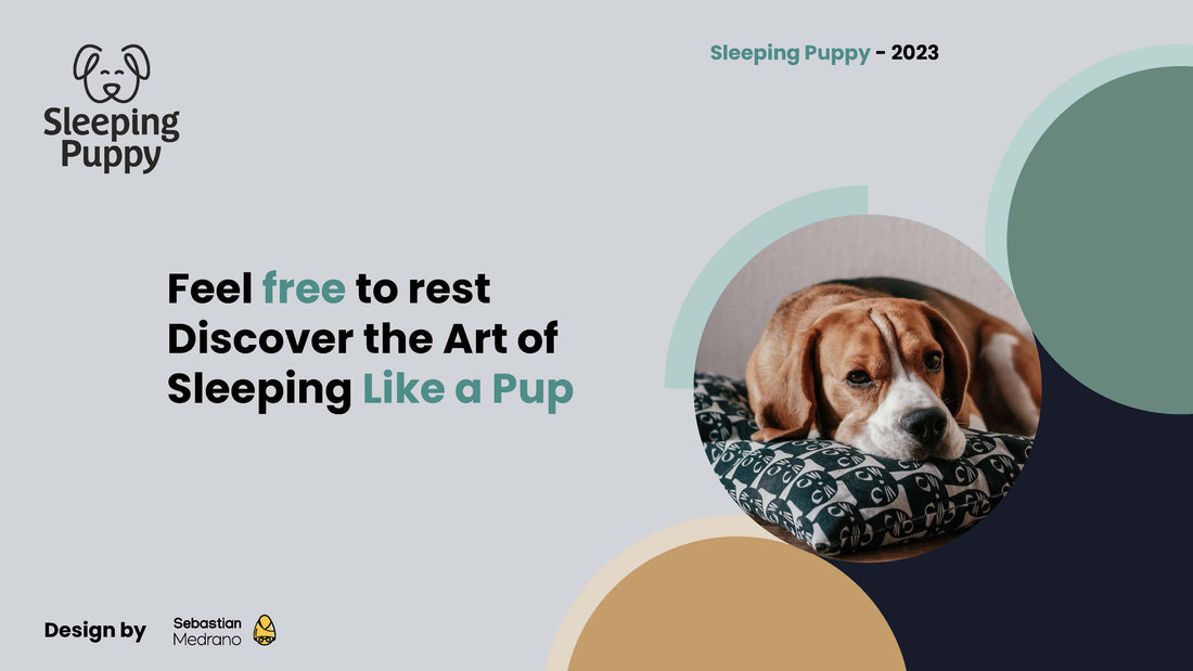 Sleeping Puppy Launches in Australia November 1, 2023!